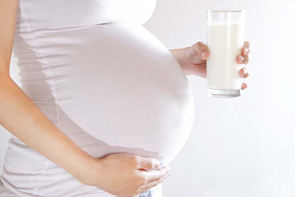 Best Protein Powder for Pregnant Women - Healthgk