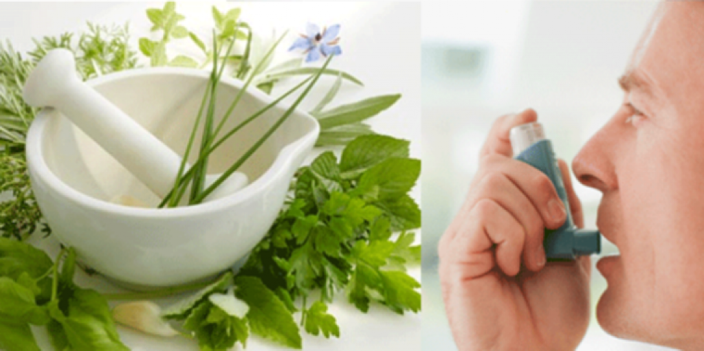Herbal Remedies For Asthma Healthgk