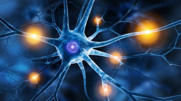Neuropathic Pain