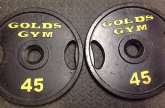 golds gym 45 lbs plates