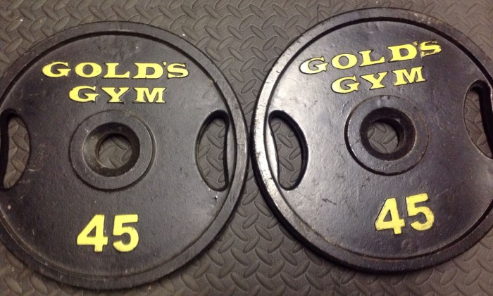golds gym 45 lbs plates