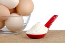 Best Egg White Protein Powder