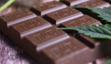 All You Need to Know About CBD Chocolate and Why You Need It